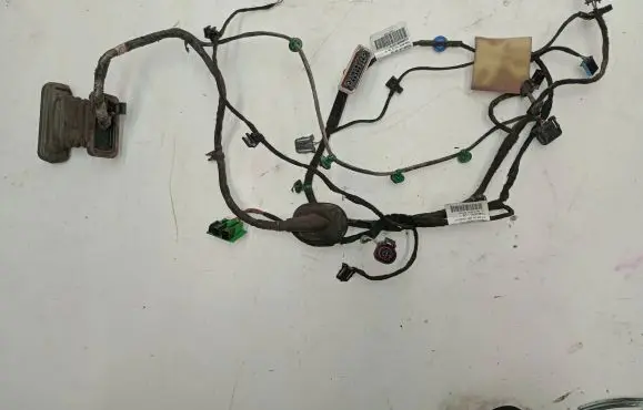 Rear door wiring loom