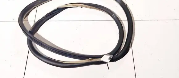 Citroen C5 Rubber seal front coupe door 