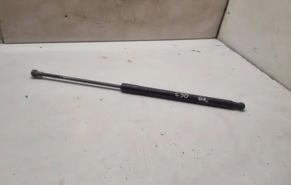 Tailgate/trunk strut/damper