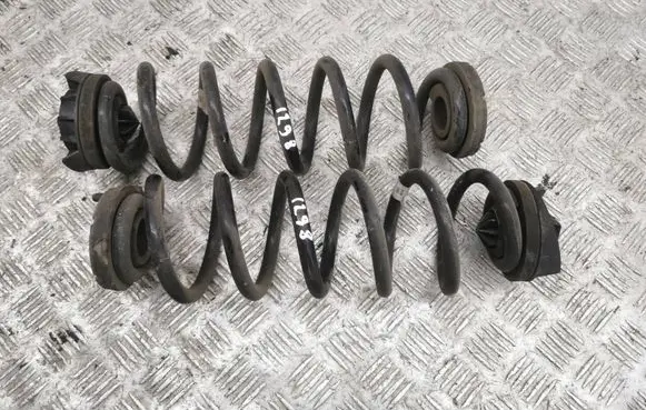 Rear coil spring