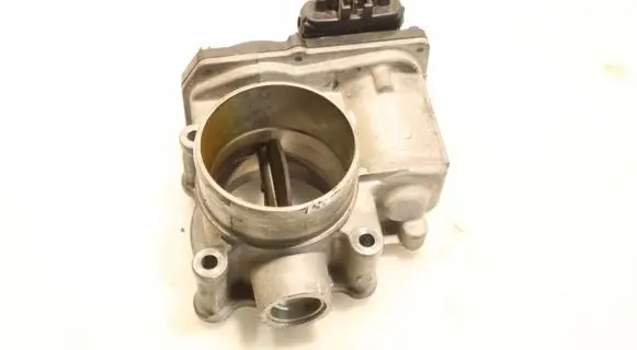 Throttle body valve