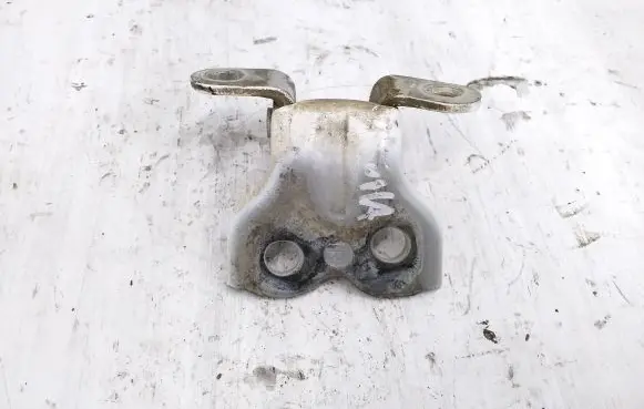 Toyota Hilux (AN10, AN20, AN30) Front door lower hinge 
