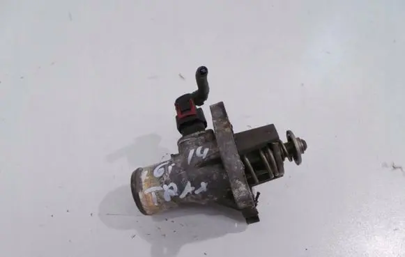 Thermostat/thermostat housing
