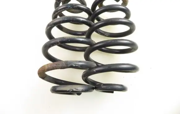 Rear coil spring