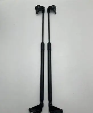 Tailgate strut