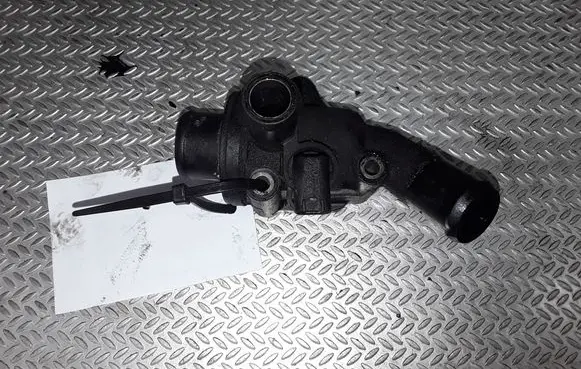 Thermostat/thermostat housing