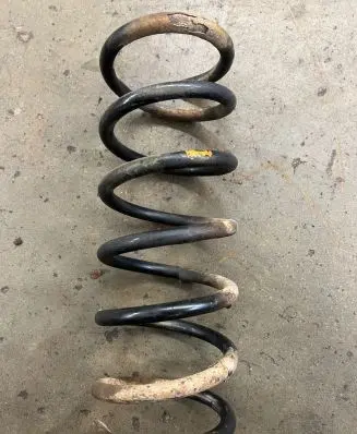 Rear coil spring