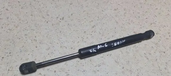 Tailgate/trunk strut/damper