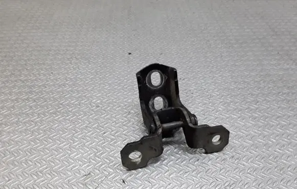 Rear door lower hinge