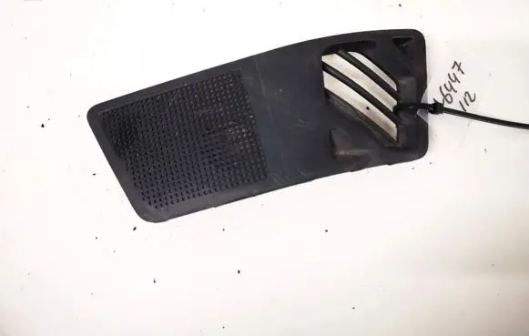 Side speaker trim/cover