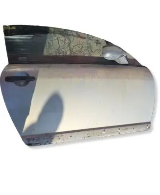 Citroen C3 Front door 