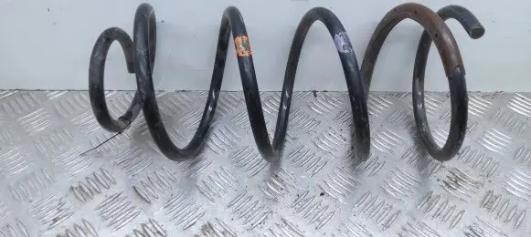 Front coil spring