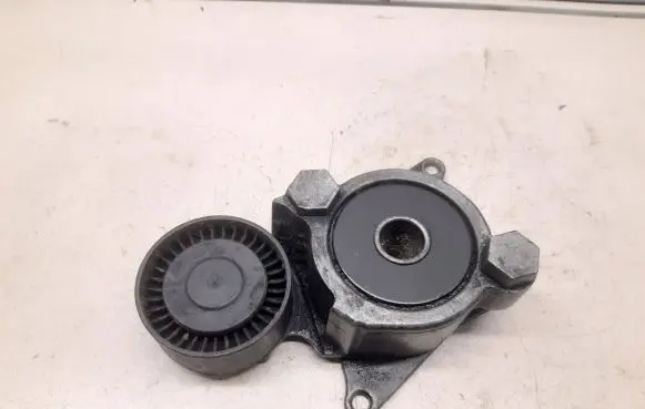 Lexus IS 220D-250-350 Generator/alternator belt tensioner 166200R010