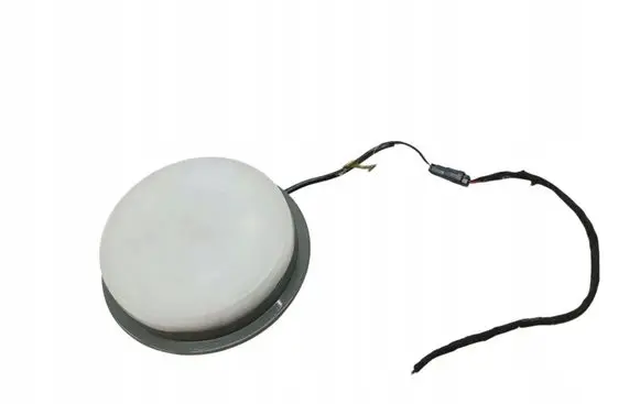 Dodge Charger Rear seat light 20020360