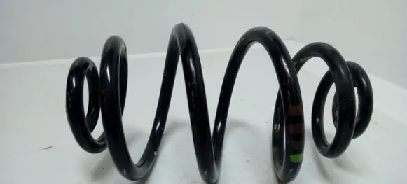 Volkswagen PASSAT B5.5 Rear coil spring