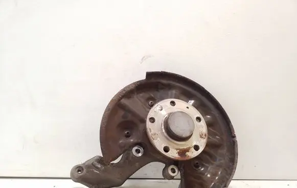 Volkswagen Tiguan Rear wheel hub