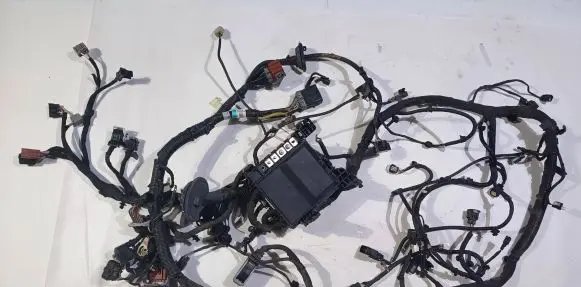 Ford Expedition Engine installation wiring loom JL1T14290EBB