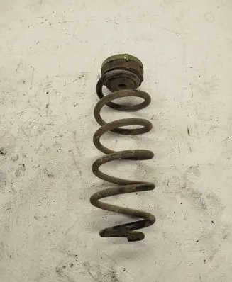 Rear coil spring