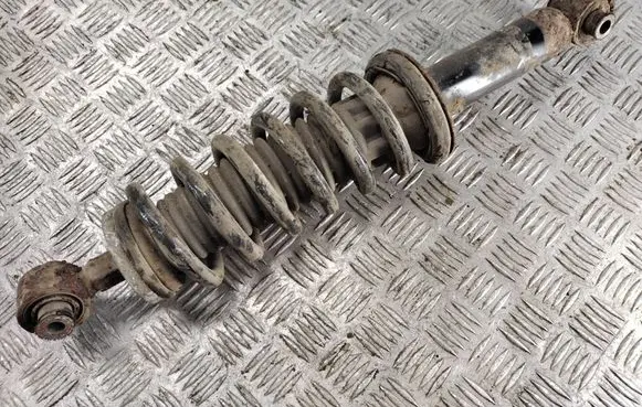 Citroen C5 Rear shock absorber with coil spring 