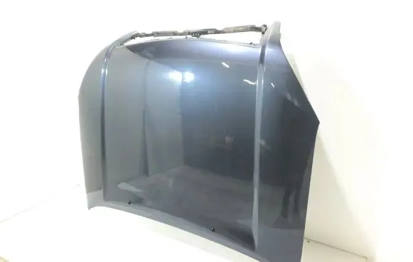 Toyota Land Cruiser (J120) Engine bonnet/hood