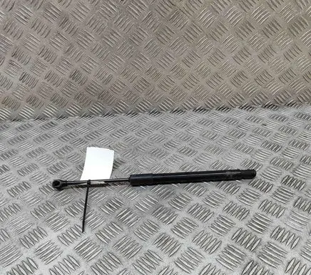 Front bonnet/hood damper/strut