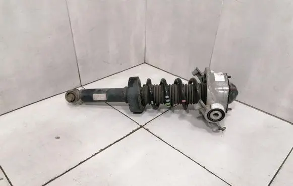 Porsche Cayenne (92A) Rear shock absorber with coil spring 95833305100