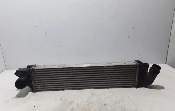 Renault Trafic III (X82) Intercooler radiator 144960050R