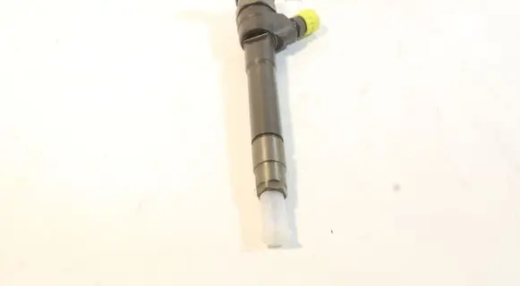 Nissan Qashqai Fuel injector 0445110546