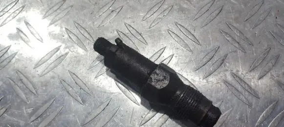Citroen Xsara Fuel injector LDR6736001