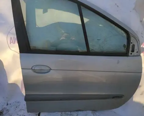 Renault Scenic I Front door pilkos