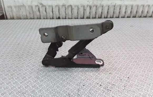 Seat Toledo III (5P) Engine bonnet/hood hinges 5P0823301B