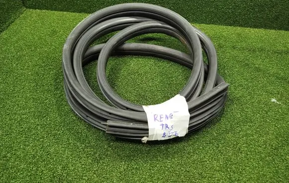 Renault Trafic III (X82) Rubber seal front coupe door 