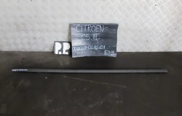 Citroen C5 Trim molding 