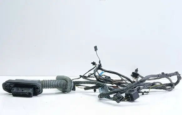 BMW 5 F10 F11 Front door wiring loom 9240881