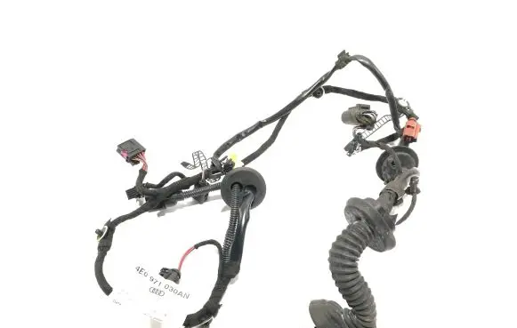 Audi A8 S8 D3 4E Front door wiring loom 4E0971030AN 15102004
