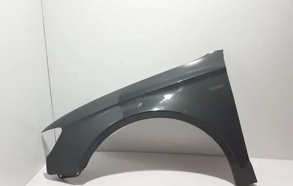 Fender