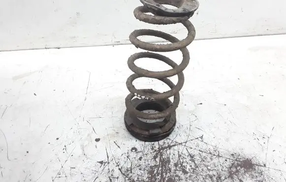 Rear coil spring