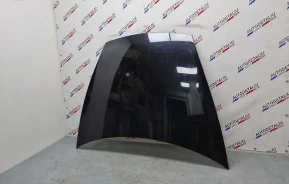 Porsche Cayenne (9PA) Engine bonnet/hood 