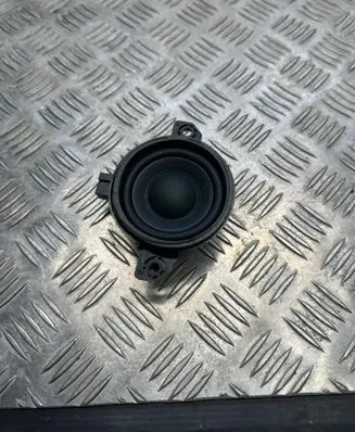 Rear door speaker