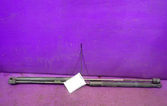 Citroen C4 I Picasso Tailgate strut 9647295380
