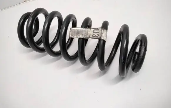 BMW X5 E53 Rear coil spring 1096302