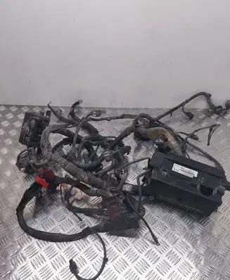 Engine installation wiring loom