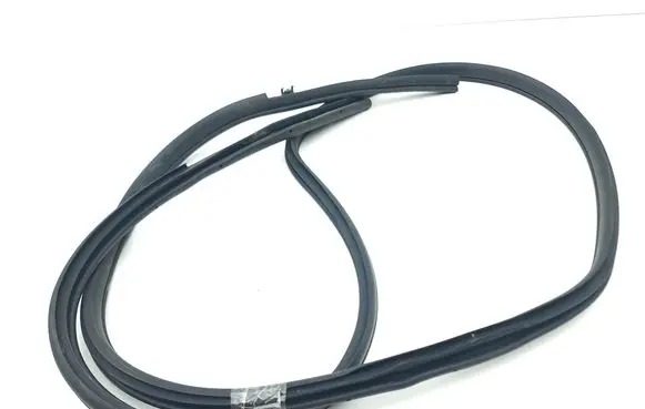 Nissan Leaf II (ZE1) Front door rubber seal 