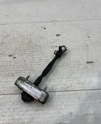 Rear door check strap stopper