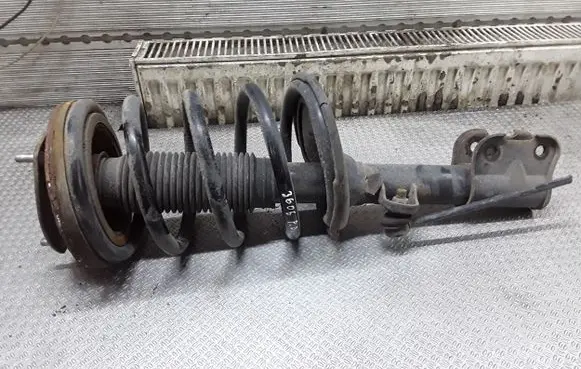 Hyundai Santa Fe Front shock absorber with coil spring