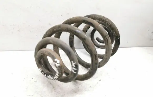 Rear coil spring