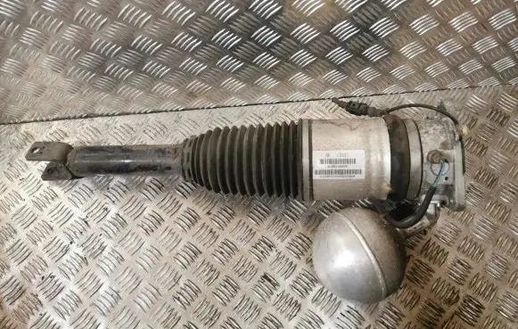 Volkswagen Phaeton Rear shock absorber/damper 3D0616002K