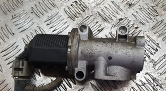 Opel Zafira B EGR valve 50024005 B704