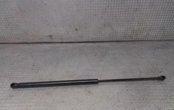 Tailgate/trunk strut/damper