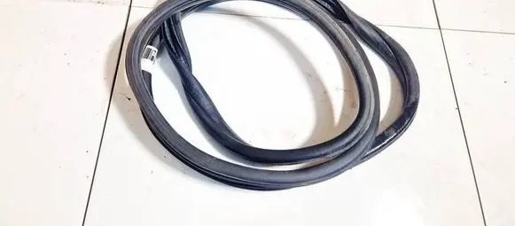 Citroen Xsara Picasso Rubber seal front coupe door 